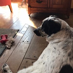 Meet your Posher, Terri